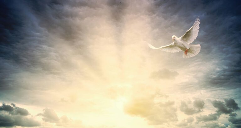 Be free of negative influences