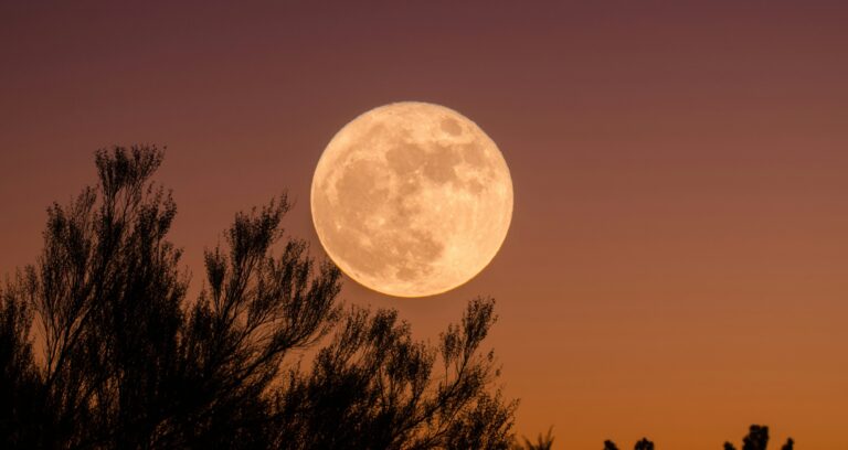Make the most of the Full Moon!