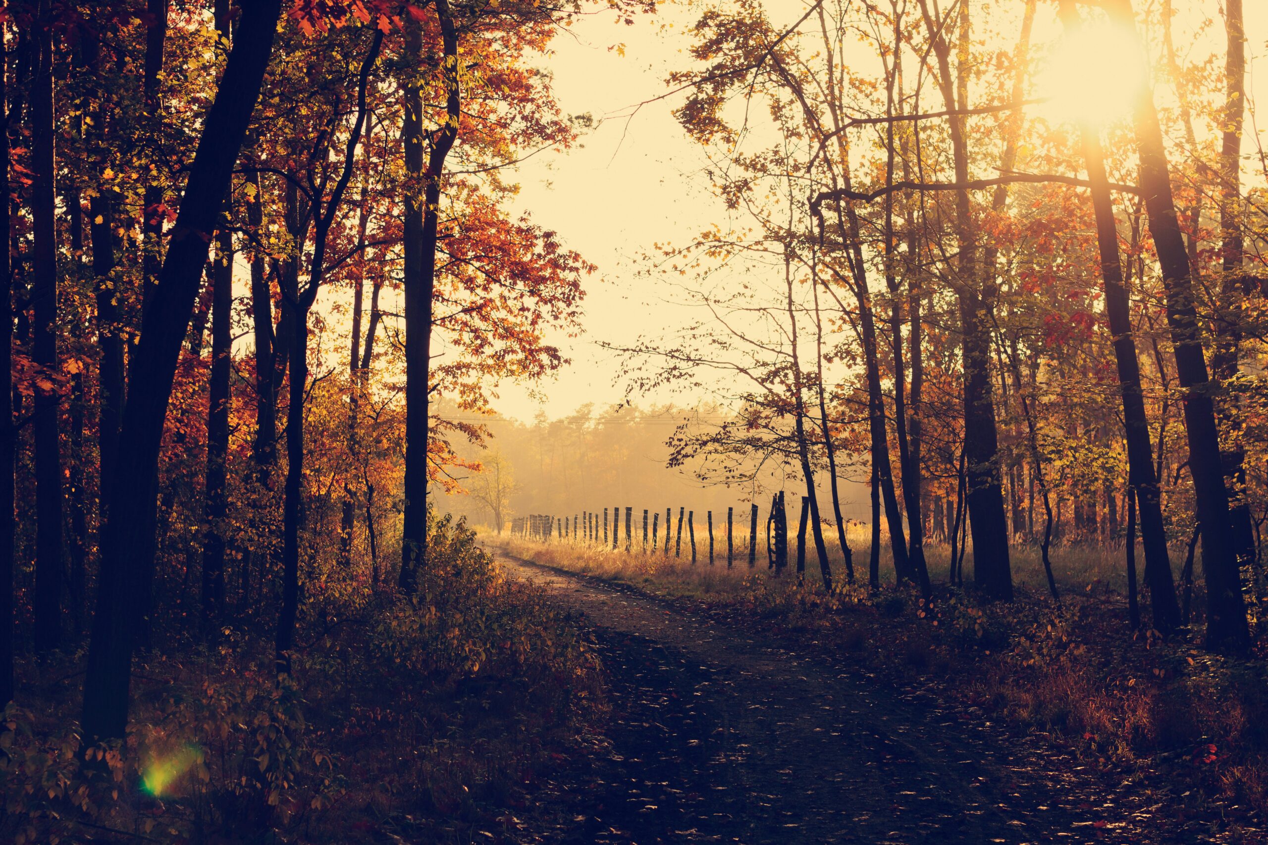 Autumnal Equinox scene